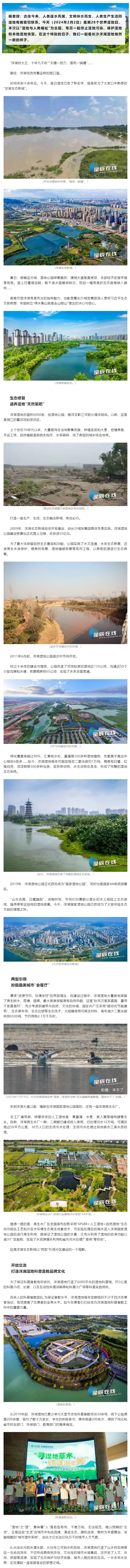 2024世界濕地日：長沙洋湖濕地，詩意里的棲息勝地.png